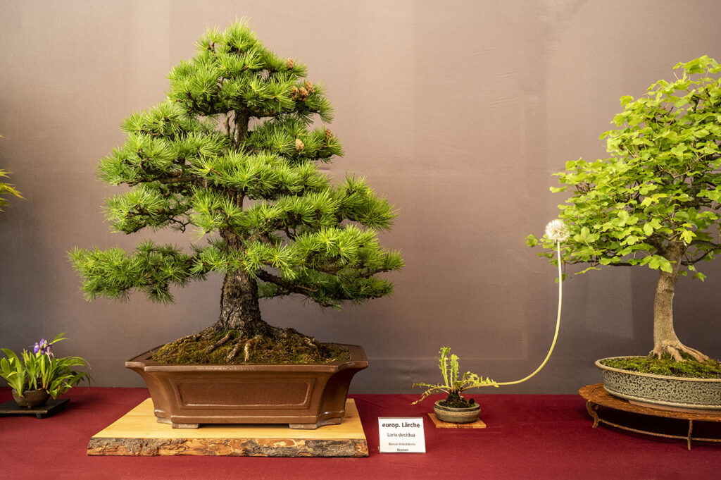 bin 2022 lübeck dsc 1437