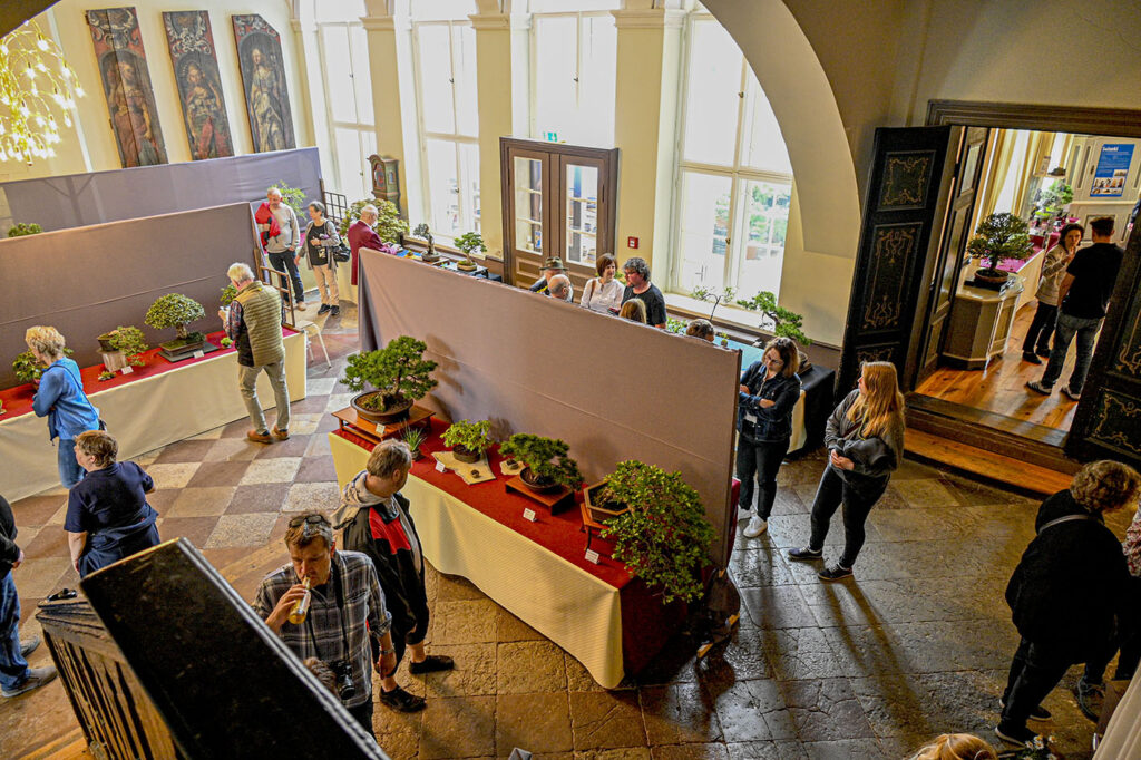 bin 2022 lübeck dsc 1457