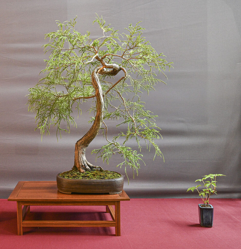 bin 2022 lübeck dsc 1463