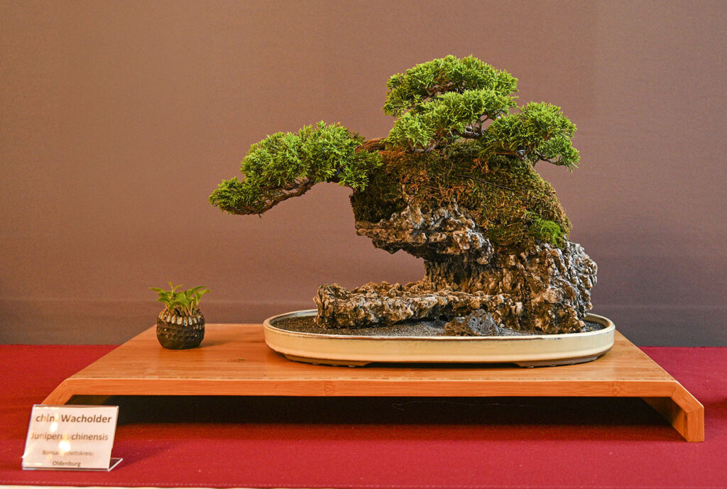 bin 2022 lübeck dsc 1465