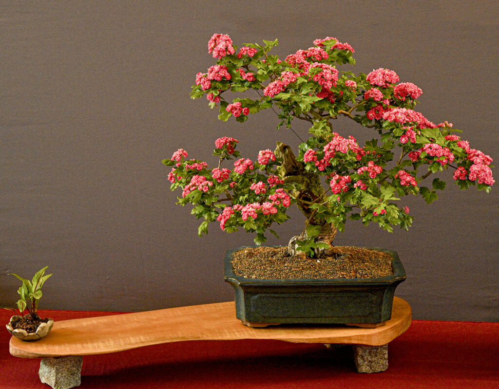 bin 2022 lübeck dsc 1482