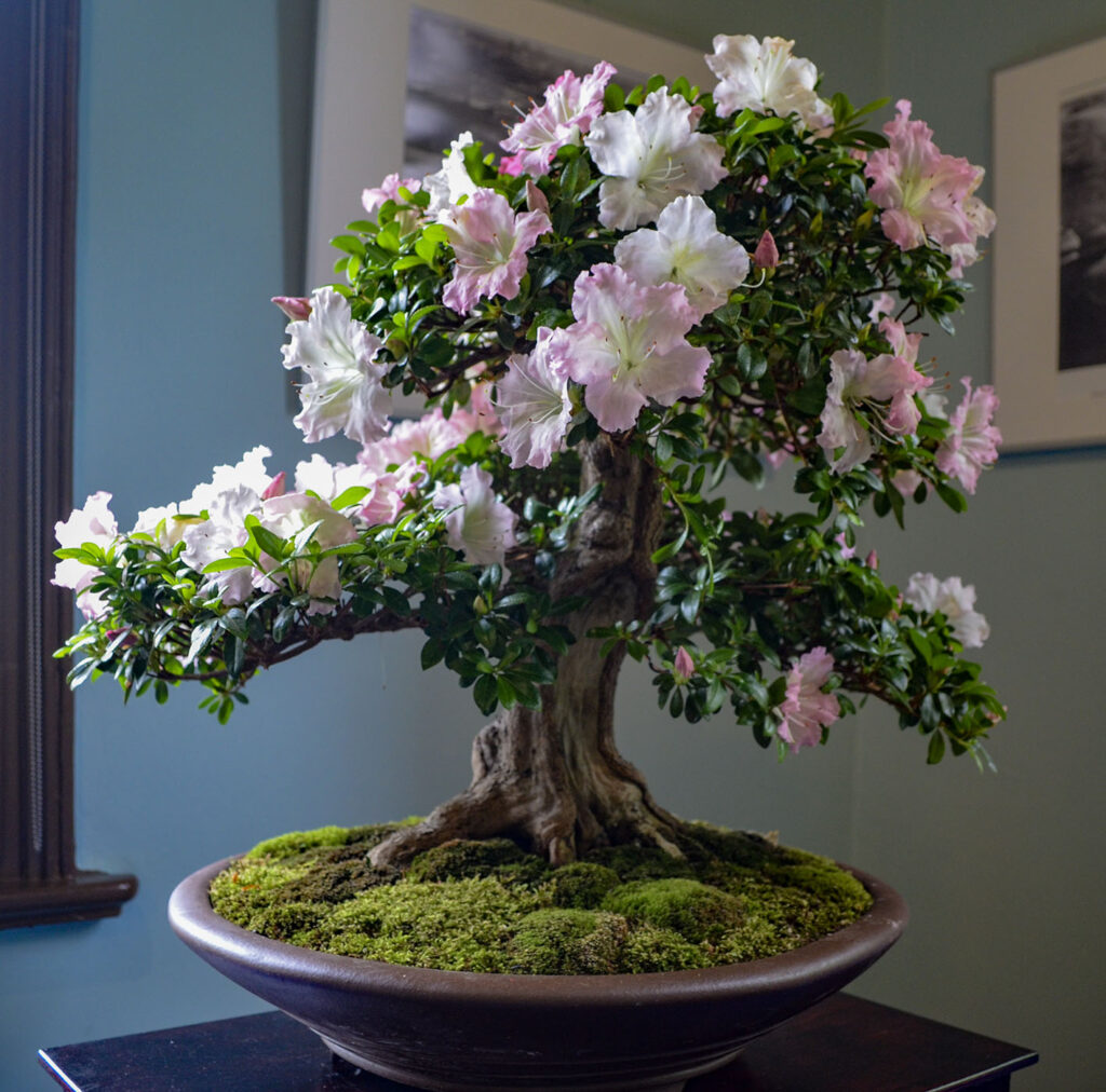 bin 2024 leer dsc 0045