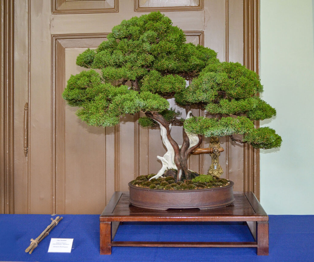 bin 2024 leer dsc 0064