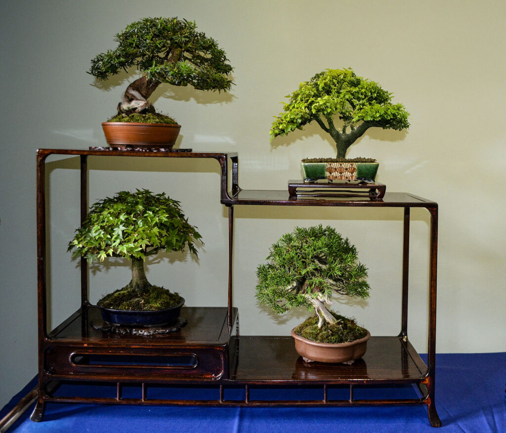 bin 2024 leer dsc 0065