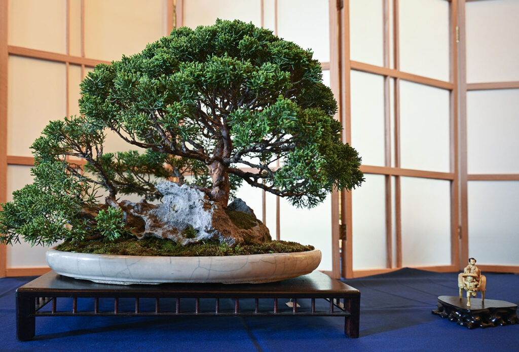 bin 2024 leer dsc 6494