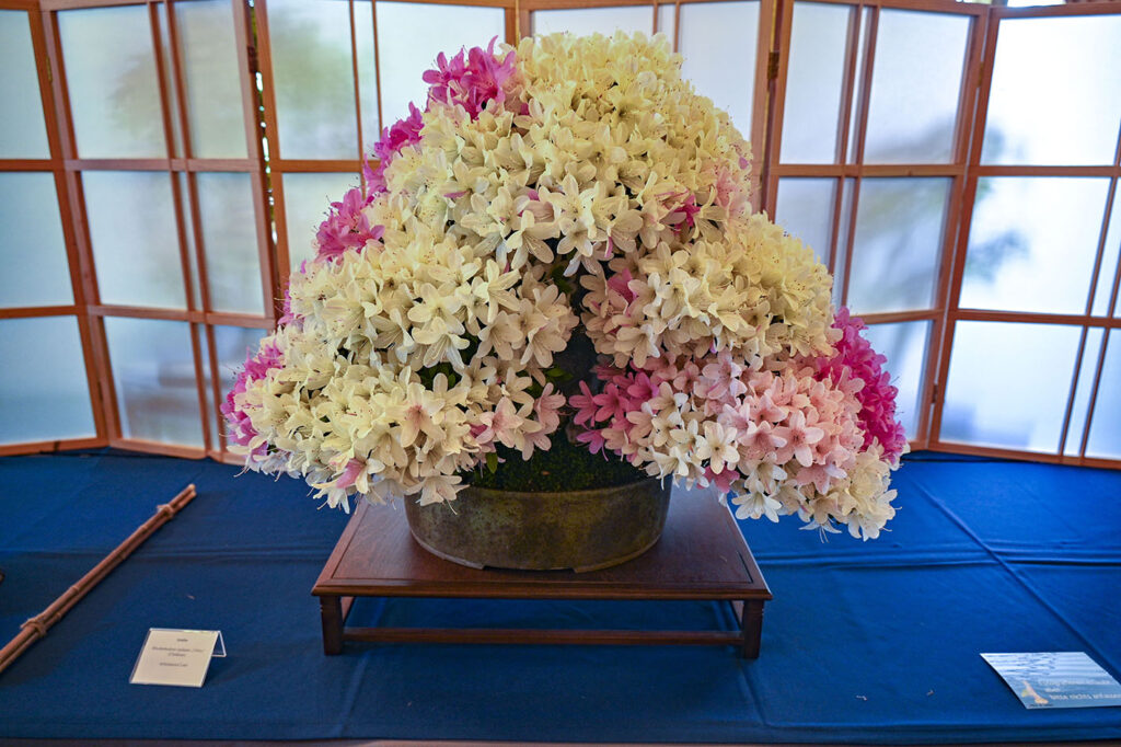 bin 2024 leer dsc 6496