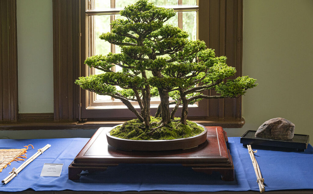 bin 2024 leer dsc 6504