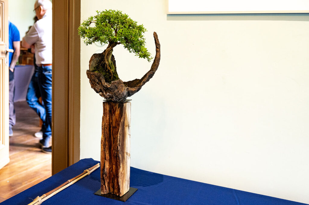 bin 2024 leer dsc 6506