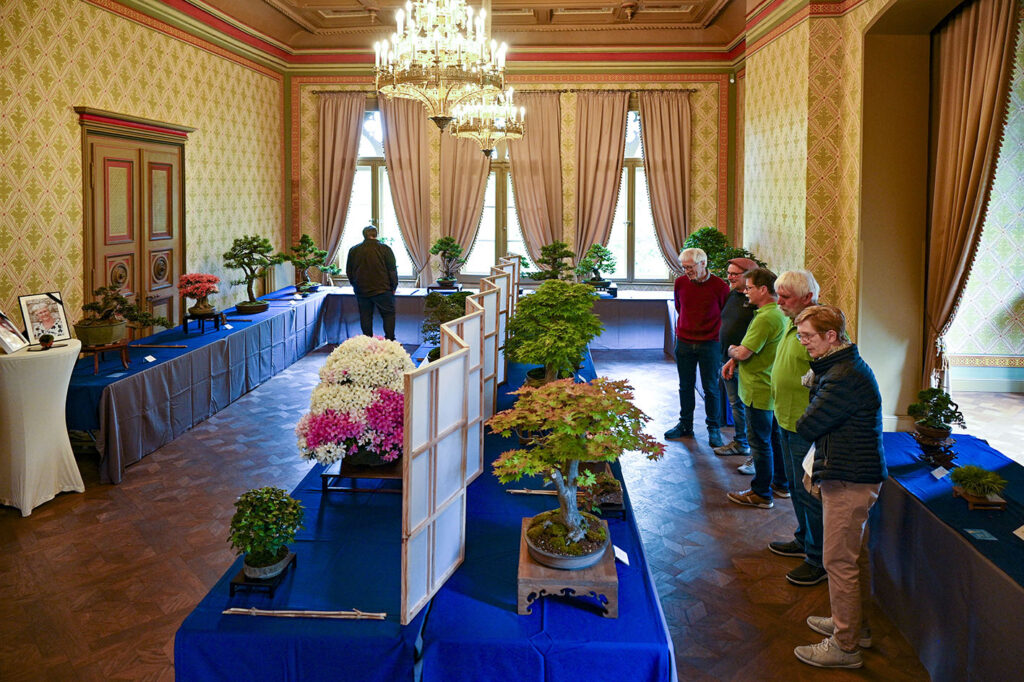 bin 2024 leer dsc 6518