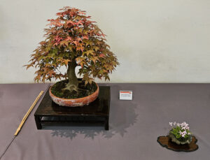 BiN 2025 Oldenburg 151136