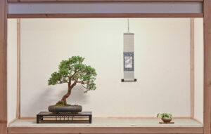 BiN 2023 Bremen tokonoma 1