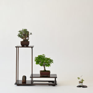 BiN Bremen 2023 dsc 4686